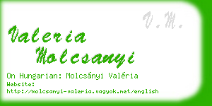 valeria molcsanyi business card